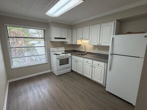 460 Beltrees St in Dunedin, FL - Building Photo - Building Photo