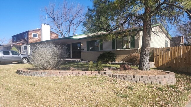 6068 Vivian Ct in Arvada, CO - Building Photo - Building Photo