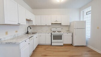 1441 W North Shore Ave, Unit 1441 W Northshore Ave in Chicago, IL - Building Photo