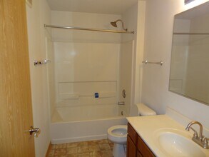 232 Bertram Dr in Yorkville, IL - Building Photo - Building Photo
