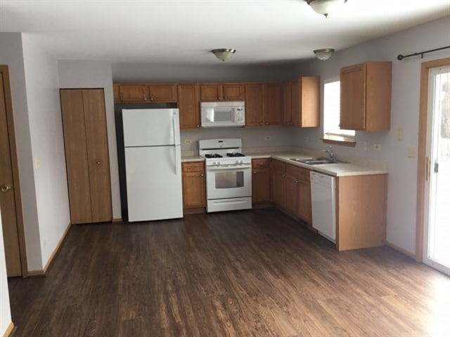 233 E Cobbler Ct in Round Lake Beach, IL - Building Photo - Building Photo