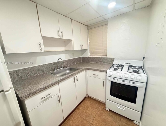 437 NW 57th Ave in Miami, FL - Building Photo - Building Photo