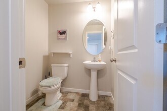 3894 Buckthorn St in Wellington, CO - Building Photo - Building Photo