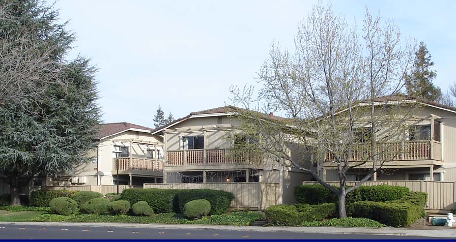 3886 Mulberry Dr in Concord, CA - Building Photo