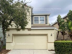 10507 Grayslake Ct in Tampa, FL - Building Photo