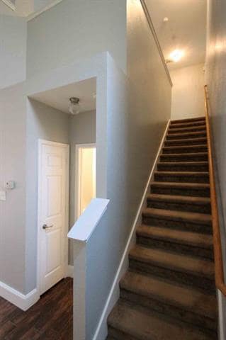 8516 Hunters Trace Ln in Plano, TX - Building Photo - Building Photo