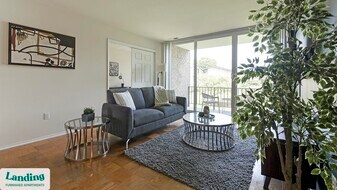 6220 Springhill Dr in Greenbelt, MD - Building Photo