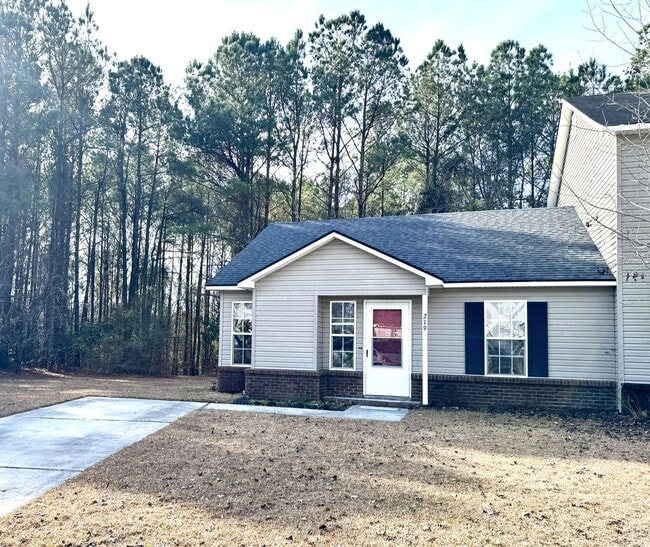 219 Mesa Ln in Jacksonville, NC - Building Photo - Building Photo