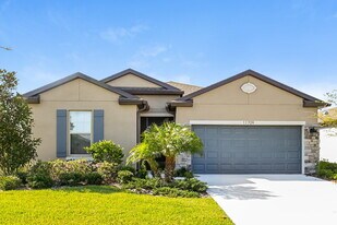 11709 Clare Hill Ave in Riverview, FL - Building Photo