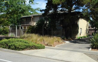 669 Homestead Rd in Sunnyvale, CA - Building Photo