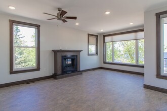 802 S Lake Ave in Duluth, MN - Building Photo - Building Photo