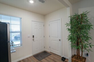 5242 Scrub Mint Ln in Apopka, FL - Building Photo - Building Photo