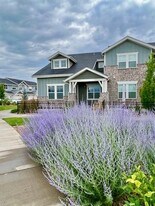 2435 Trio Falls Dr in Loveland, CO - Building Photo