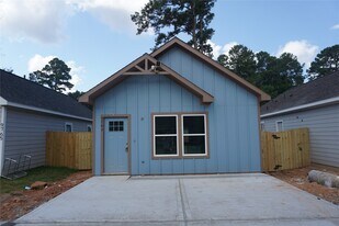 9763 Black Gum in Willis, TX - Building Photo