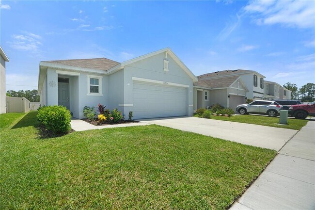 33592 Barberry Leaf Wy in Wesley Chapel, FL - Foto de edificio - Building Photo