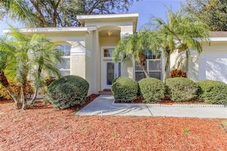 3773 Pendlebury Dr in Palm Harbor, FL - Building Photo - Building Photo