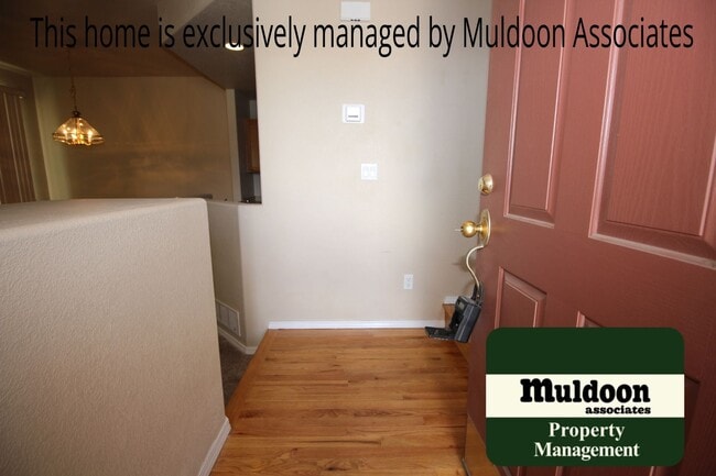 4750 Sand Mountain Pt in Colorado Springs, CO - Building Photo - Building Photo