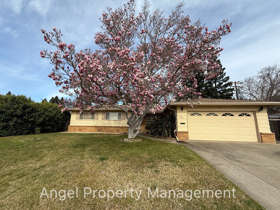 1239 Woodfield Ave in Sacramento, CA - Building Photo