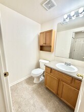 4527 Starflower Dr in Fort Collins, CO - Building Photo - Building Photo