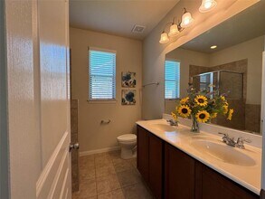 20010 Flax Flower Dr in Richmond, TX - Building Photo - Building Photo