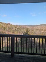 2954 Vinyards Pkwy in Branson, MO - Building Photo