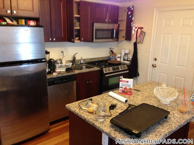 107 Fisher Ave in Boston, MA - Building Photo - Building Photo