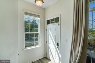 8535 Wyngate Manor Ct in Alexandria, VA - Building Photo