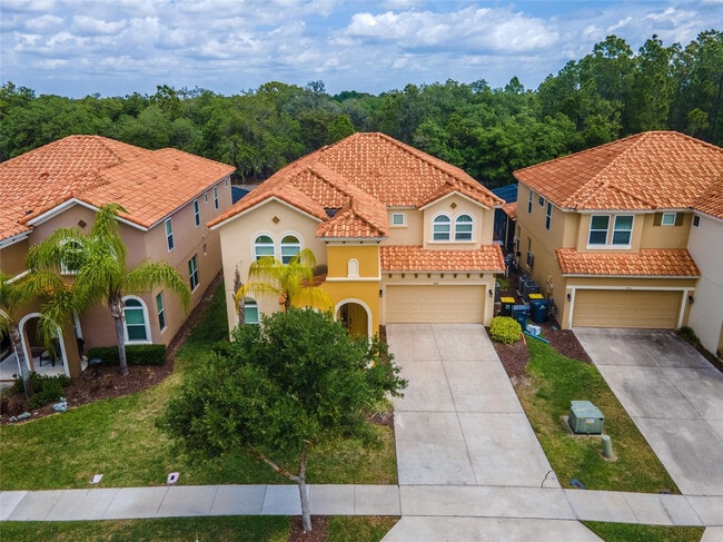446 Orange Cosmos Blvd in Davenport, FL - Building Photo - Building Photo