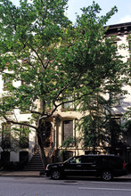 448 W 23rd St in New York, NY - Building Photo - Building Photo