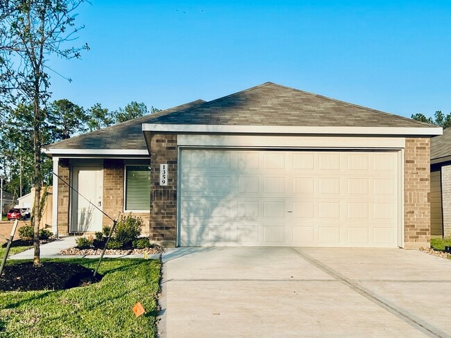 property at 1359 Diamond Carnation Dr
