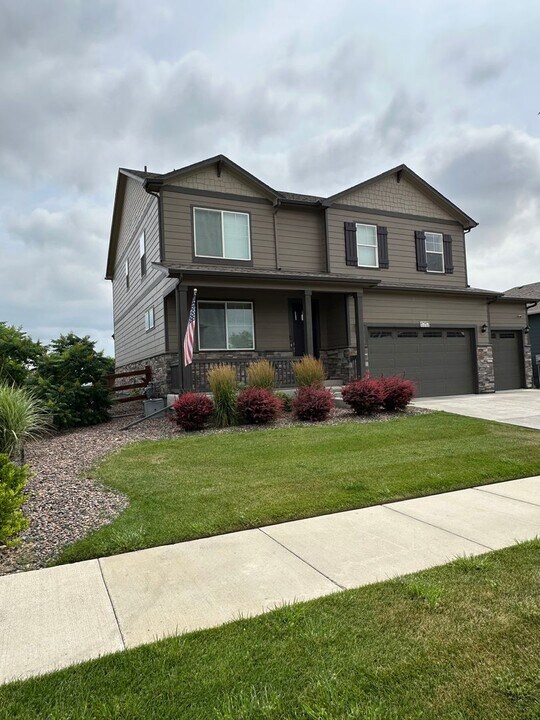 1717 Floret Dr in Windsor, CO - Building Photo
