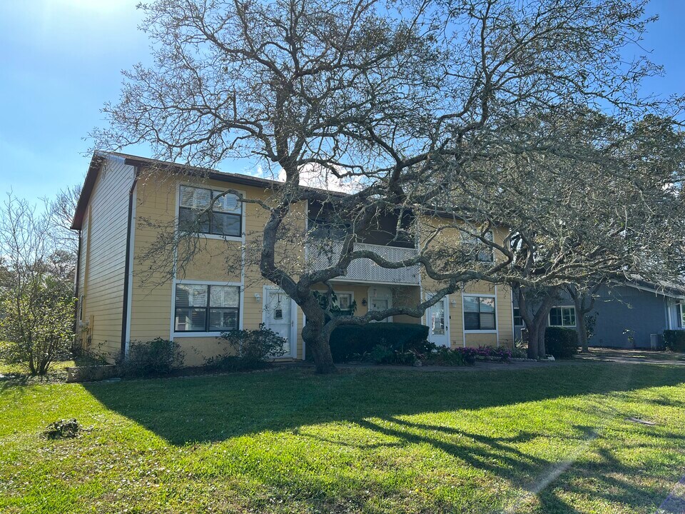 105 Rio Del Mar St in St. Augustine, FL - Building Photo