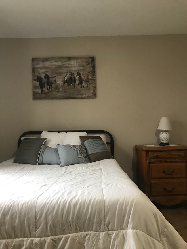 10092 Hideaway Cove in Aurora, OH - Foto de edificio - Building Photo