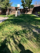 478 Molly Ct in Shafter, CA - Building Photo - Building Photo