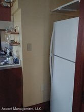 309 N Pinckney St in Madison, WI - Building Photo - Building Photo