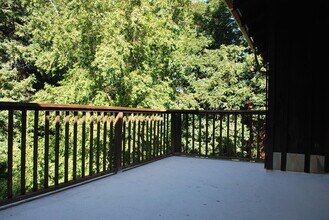 251 Marion Ave in Mill Valley, CA - Building Photo - Building Photo