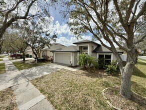 27519 Sky Lake Cir in Wesley Chapel, FL - Foto de edificio - Building Photo
