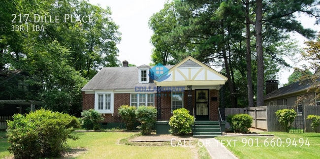 property at 217 Dille Pl