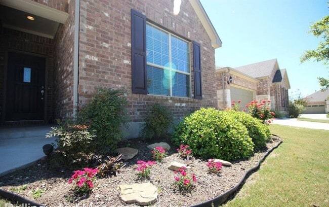 3005 Angelina Ct in Round Rock, TX - Building Photo - Building Photo