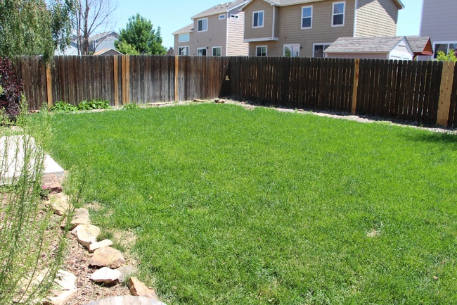 3427 Tail Spin Dr in Colorado Springs, CO - Building Photo - Building Photo