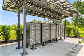 3914 Lively Coral Pl in Bradenton, FL - Building Photo - Building Photo