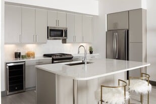 Chelsea Museum District in Houston, TX - Building Photo