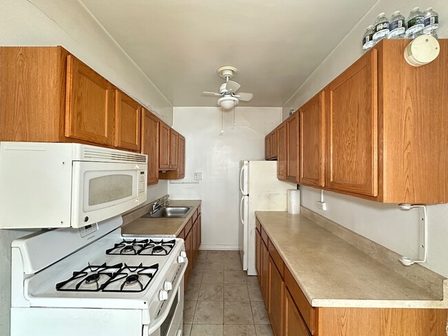 1167 N Dearborn St in Chicago, IL - Building Photo - Building Photo