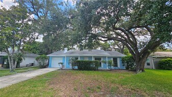 5303 W Cleveland St in Tampa, FL - Building Photo