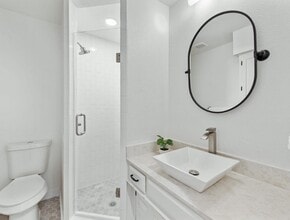 3912 Saddlehead Dr in Plano, TX - Building Photo - Building Photo