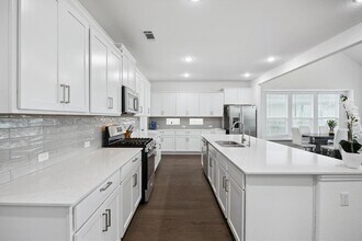 209 Crimson Rose Ct in Liberty Hill, TX - Building Photo - Building Photo