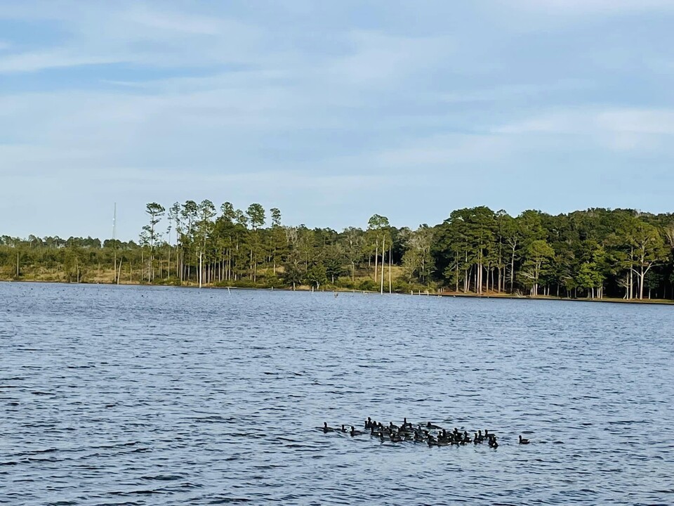 383 Vanderheide Rd in Defuniak Springs, FL - Foto de edificio