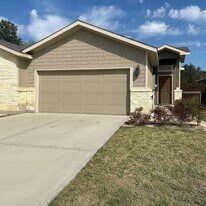 25136 Pacific Wren Dr in Magnolia, TX - Building Photo