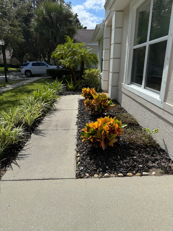 47 St Andrews Ct in Palm Coast, FL - Foto de edificio - Building Photo