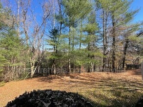 198 Horse Shoe Baptist Church Rd in Horse Shoe, NC - Building Photo - Building Photo